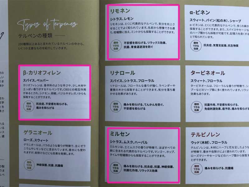 manana Acapulco Gold Incense �}�j���[�i�I���W�i�� CBD & 3 �e���y���z�� �A�J�v���R�S�[���h�̂���