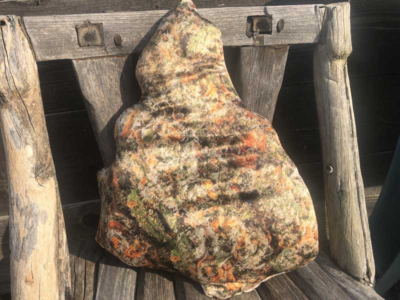 �V�i �f�W�^���v�����g  CANNABIS BUDS NUGG PILLOW �J���i�r�X �o�b�Y �i�O�s���[ �N�b�V����