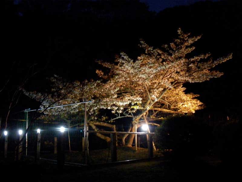 �O�d���Îs �������ł�����݂̒�����