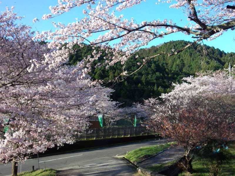 �O�d���Îs �������ł�����݂̒�����