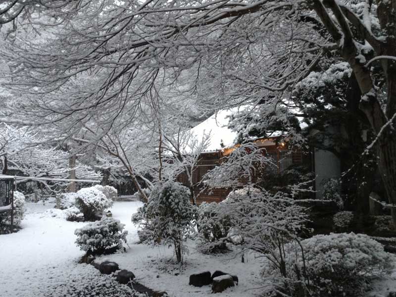 �O�d���Îs �������ł�����݂̑����@ �����R ������