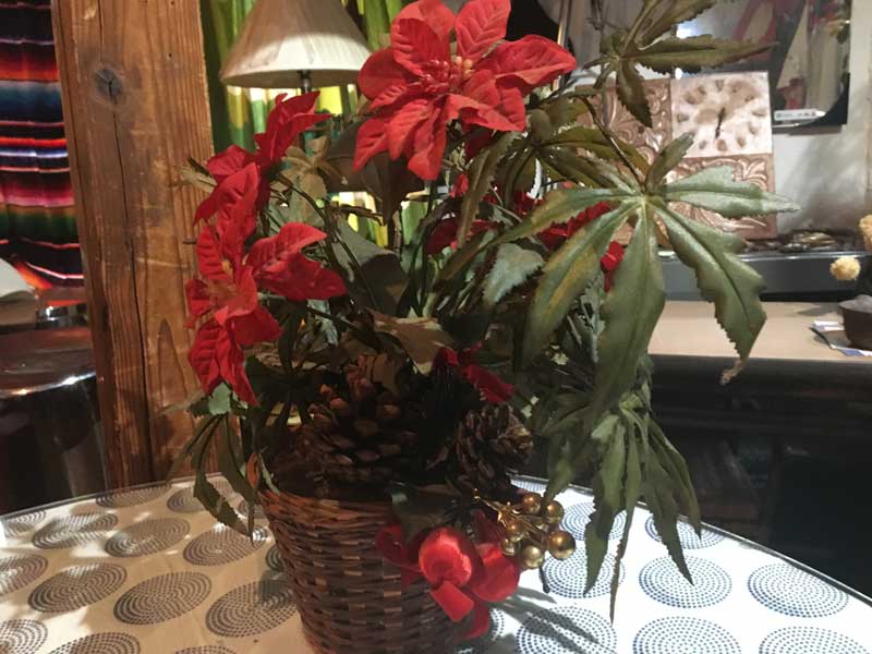 Marijuana�AGanja�AHemp Planter�A �}���t�@�i�A�w���v�̑���