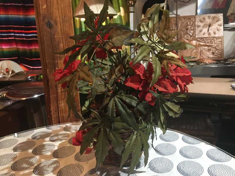 Marijuana�AGanja�AHemp Planter�A �}���t�@�i�A�w���v�̑���