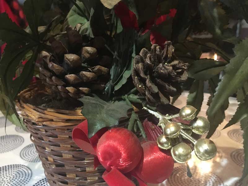 Marijuana�AGanja�AHemp Planter�A �}���t�@�i�A�w���v�̑���