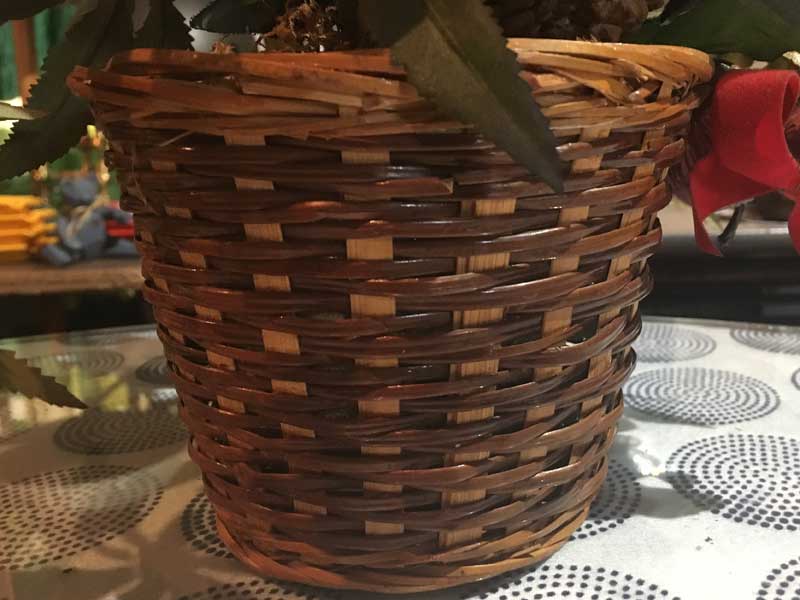 Marijuana�AGanja�AHemp Planter�A �}���t�@�i�A�w���v�̑���