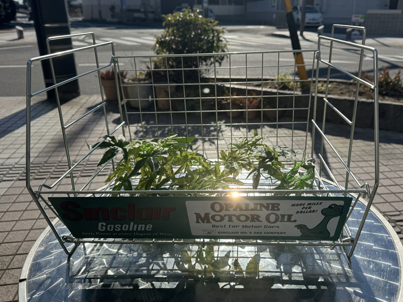 新品 USカンパニーのスタッキング可能なスチール製のWire Rack、折り畳み式のワイヤーラック