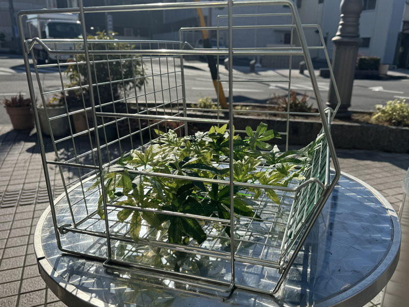 新品 USカンパニーのスタッキング可能なスチール製のWire Rack、折り畳み式のワイヤーラック