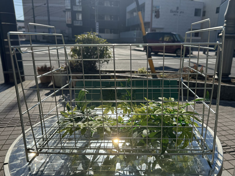 新品 USカンパニーのスタッキング可能なスチール製のWire Rack、折り畳み式のワイヤーラック