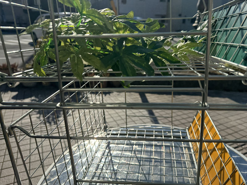 新品 USカンパニーのスタッキング可能なスチール製のWire Rack、折り畳み式のワイヤーラック