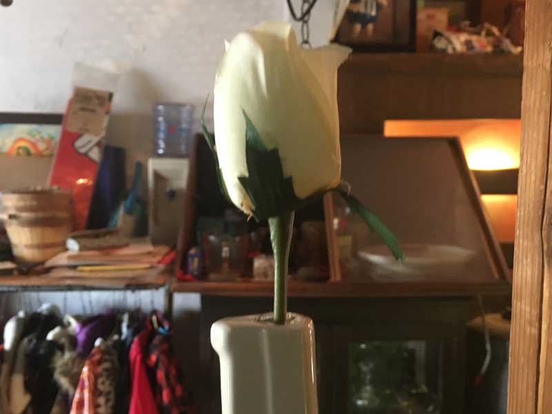 �V�i SUCK UK Wall Gun Vase �T�b�NUK �K���A�e�^�@�ǖʐݒu�̈�֍����A�ԕr