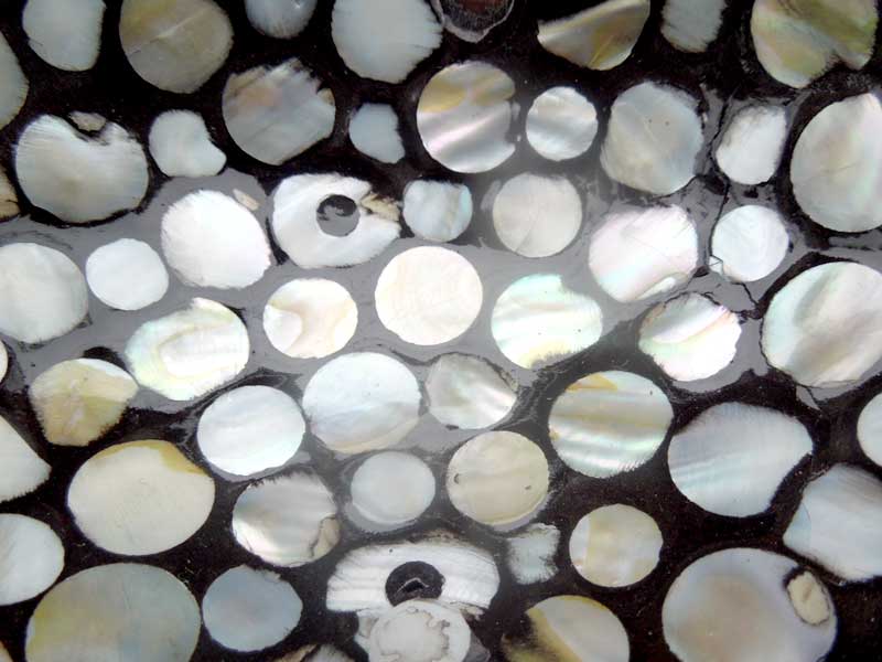 �V�i �x�g�i���� �R�R�i�b�c�ƃV�F���i�L�k�j�̃g���C�A��������