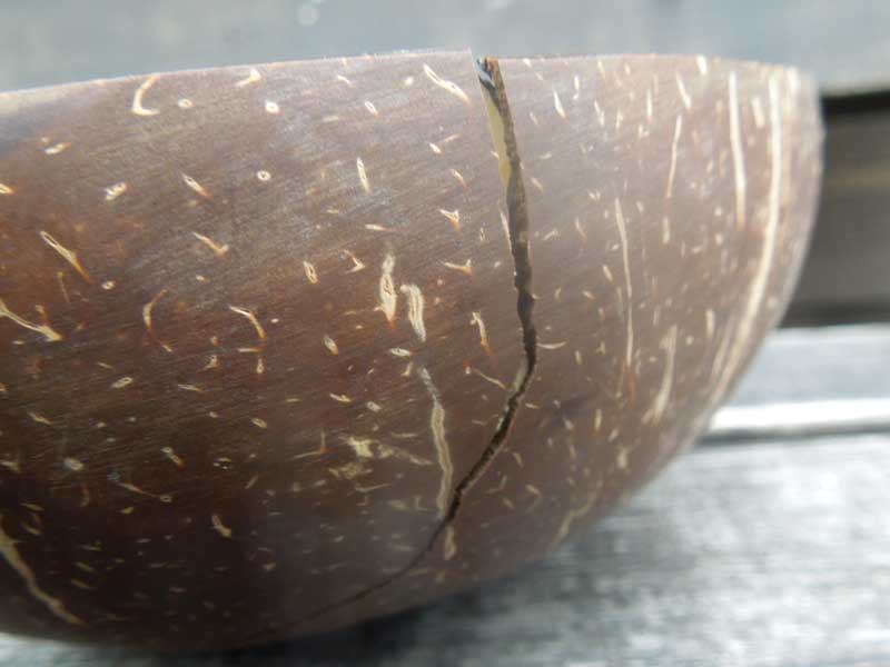 �V�i �x�g�i���� �R�R�i�b�c�ƃV�F���i�L�k�j�̃g���C�A��������