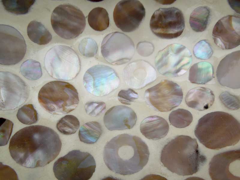 �V�i �x�g�i���� �R�R�i�b�c�ƃV�F���i�L�k�j�̃g���C�A��������