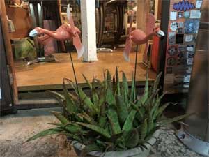 Pink Flamingos Windmill�A�s���N�t���~���S �E�C���h�~���A���ԁA2�̃Z�b�g