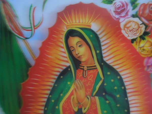 �V�i 3D �z���O������ ��яo�� �O�@�_���[�y�A�}���A�l�� �t���[���t�� �|�X�^�[