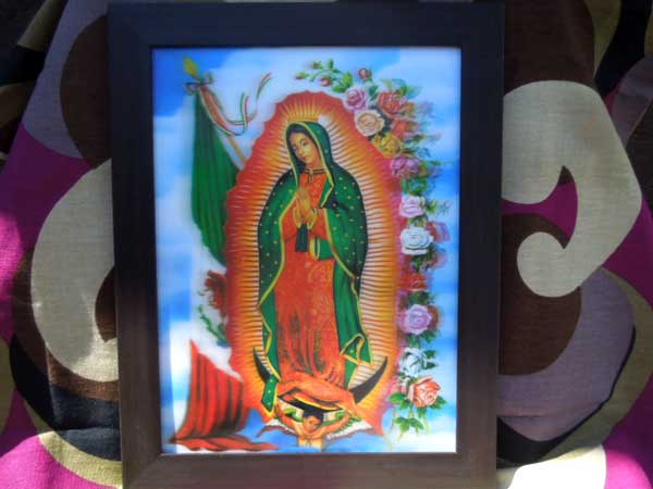 �V�i 3D �z���O������ ��яo�� �O�@�_���[�y�A�}���A�l�� �t���[���t�� �|�X�^�[