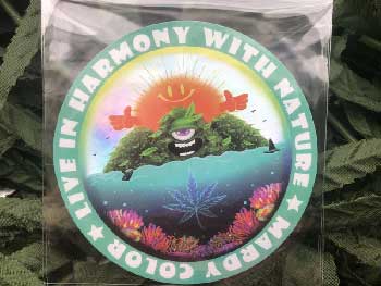 MARDY COLOR Stickers /��34 HARMONY Hologram