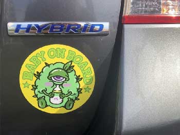 MARDY COLOR /BABY ON BOARD �}�O�l�b�g�V�[�g