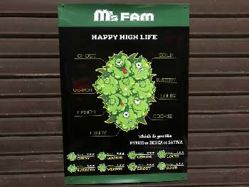 MARDY COLOR/2-Psote-M'S FAM