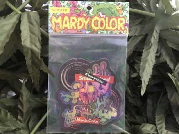 MARDY COLOR Stickers /#6 Everyday Hologram