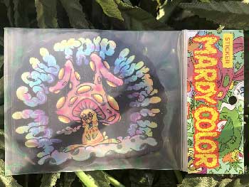 MARDY COLOR Stickers /11 RabishRoom Hologram