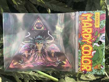 MARDY COLOR Stickers /12 NEW WORLD Hologram