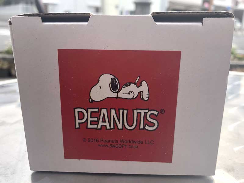 PEANUTS SNOOPY Charlie Brown Bobble Head/スヌーピー チャーリーブラウン 首振り人形