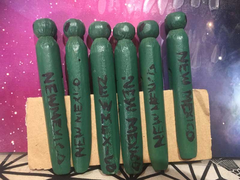 UFO�D���̐��n New Mexico Roswell UFO Museum��UFO�G�݁A���Y�E�F���G��