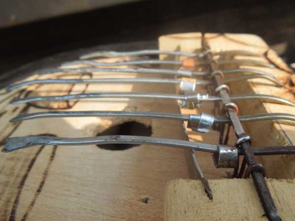 �A�t���J�̂Ђ傤����T���U �i�J�����o�j