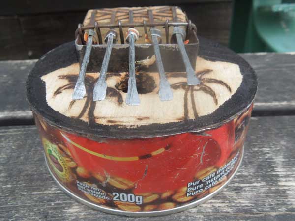 �A�t���J�̃��T�C�N���ʋl�̃T���U�i�J�����o�j