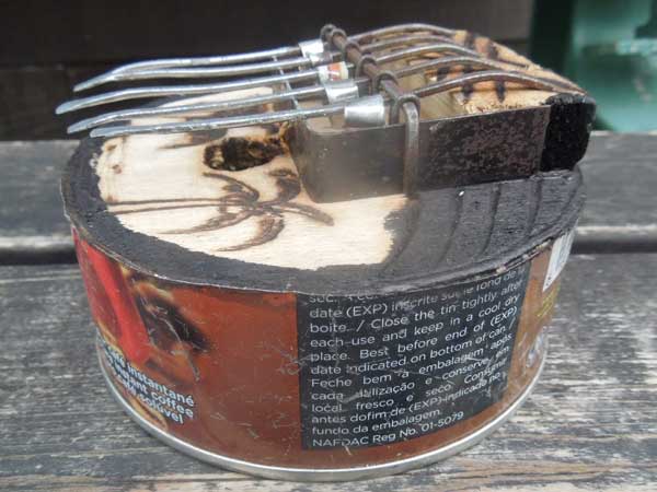 �A�t���J�̃��T�C�N���ʋl�̃T���U�i�J�����o�j