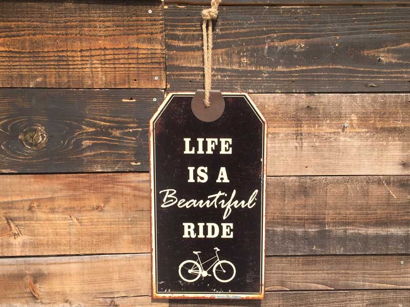 �V�i Life is Beautiful Ride Used���H���{���ꂽ�v���C�X�^�O�̗l�ȃu���L���̊ŔɎ��]�Ԃ̊G