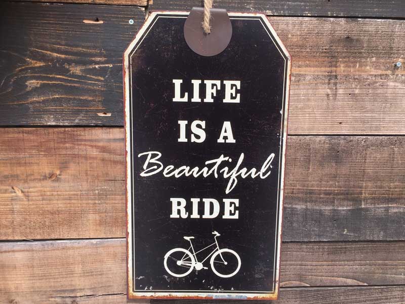 �V�i Life is Beautiful Ride Used���H���{���ꂽ�v���C�X�^�O�̗l�ȃu���L���̊ŔɎ��]�Ԃ̊G