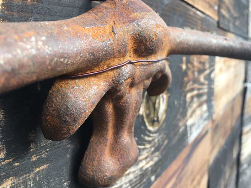 AntiqueAVintage Cast Iron Long Horn BullAAeB[N@ACÃOz[̃IuWF