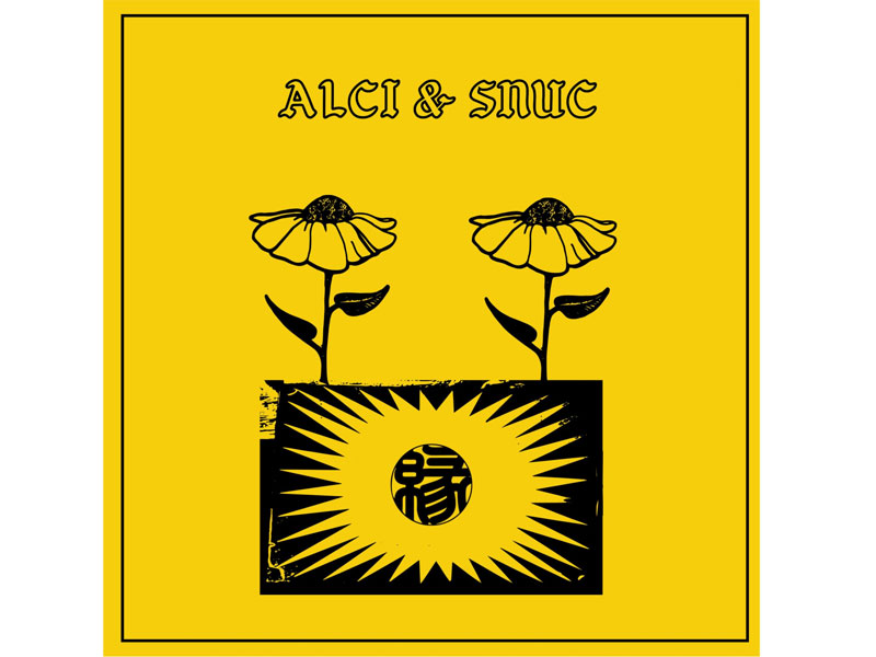 ALCI��snuc/�� cassette tape�A�J�Z�b�g�e�[�v �A���o��