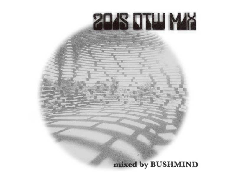 MIX CD/BUSHMIND 2015 DTW MIX MAX FREEMANの感動冷めやらぬブッシュマインドのミックスCD到着ー！