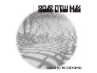 MIX CD/BUSHMIND 2015 DTW MIX MAX FREEMANの興奮冷めやらぬブッシュマインドのミックスCD到着ー！