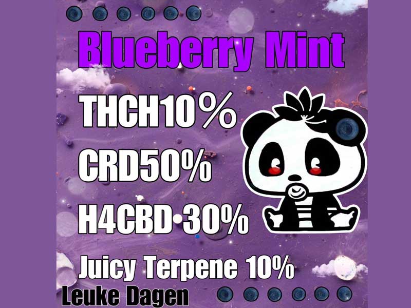 Leuke Dagen Blueberry Mint THCH 10% 1.0ml@THCHLbh u[x[~gp_Lbh