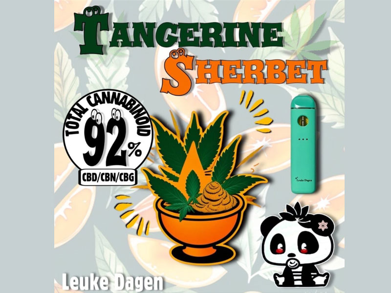 Leuke dagen/CBD���L�b�h/TANGERINE SHERBET 1ml/CBD�D�� �n�C�u���b�h�A�p���_���L�b�h�@POD