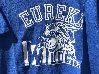 US 古着 90年代 Used EUREKA WILDCATS ユリーカのハイスクール フットボールチーム　半袖Tシャツ S