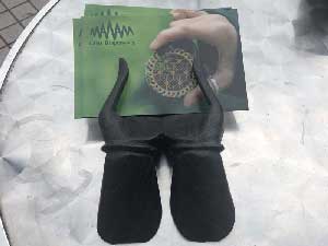 �A�W�A�̎�����`�[�t�Ƃ������h���ăo���̖ؐ�/Large