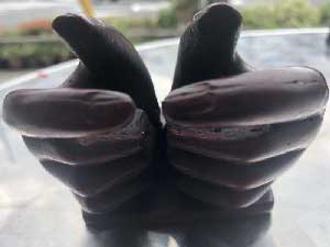 �A�W�A�̎�����`�[�t�Ƃ������h���ăl�p�[���̃��W����/Red