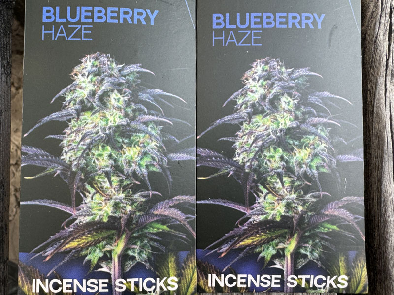 Haze Holland�� CANNABIS INCENSE STICKS NAG CHAMPA CANNABIS �w�C�Y �J���i�r�X�̍���̂��� BLUEBERRY HAZE �u���[�x���[ �w�C�Y