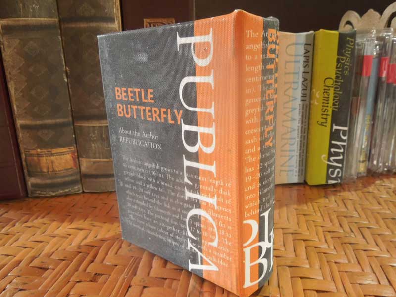 �V�i �������ȗm���̂悤�ȃf�U�C����Book Box S�T�C�Y/BEETLE�ABUTTERFLY������ �u�b�N�{�b�N�X