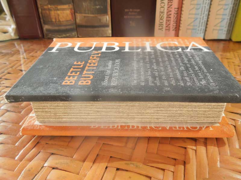 �V�i �������ȗm���̂悤�ȃf�U�C����Book Box S�T�C�Y/BEETLE�ABUTTERFLY������ �u�b�N�{�b�N�X