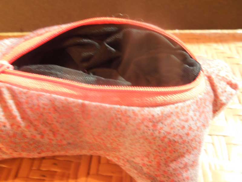 �V�i �C�J�|�[�`�A�M���A�k�C�O���~�^�̃|�[�`