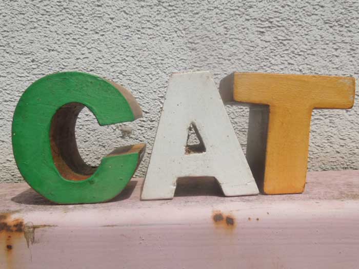 �V�i Recycle Wood Block A�̃A���t�@�x�b�g �u���b�N